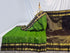 Kanchipuram Pure Silk Saree
