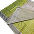 Kanchi Vegan Silk Saree