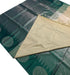 Kanchi Vegan Silk Saree