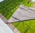 Kanchi Vegan Silk Saree