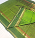 Kanchipuram Pure Silk Cotton Saree