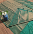 Kubera Pattu Sarees