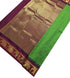 Vairaoosi Agarlic Cotton Silk Sarees