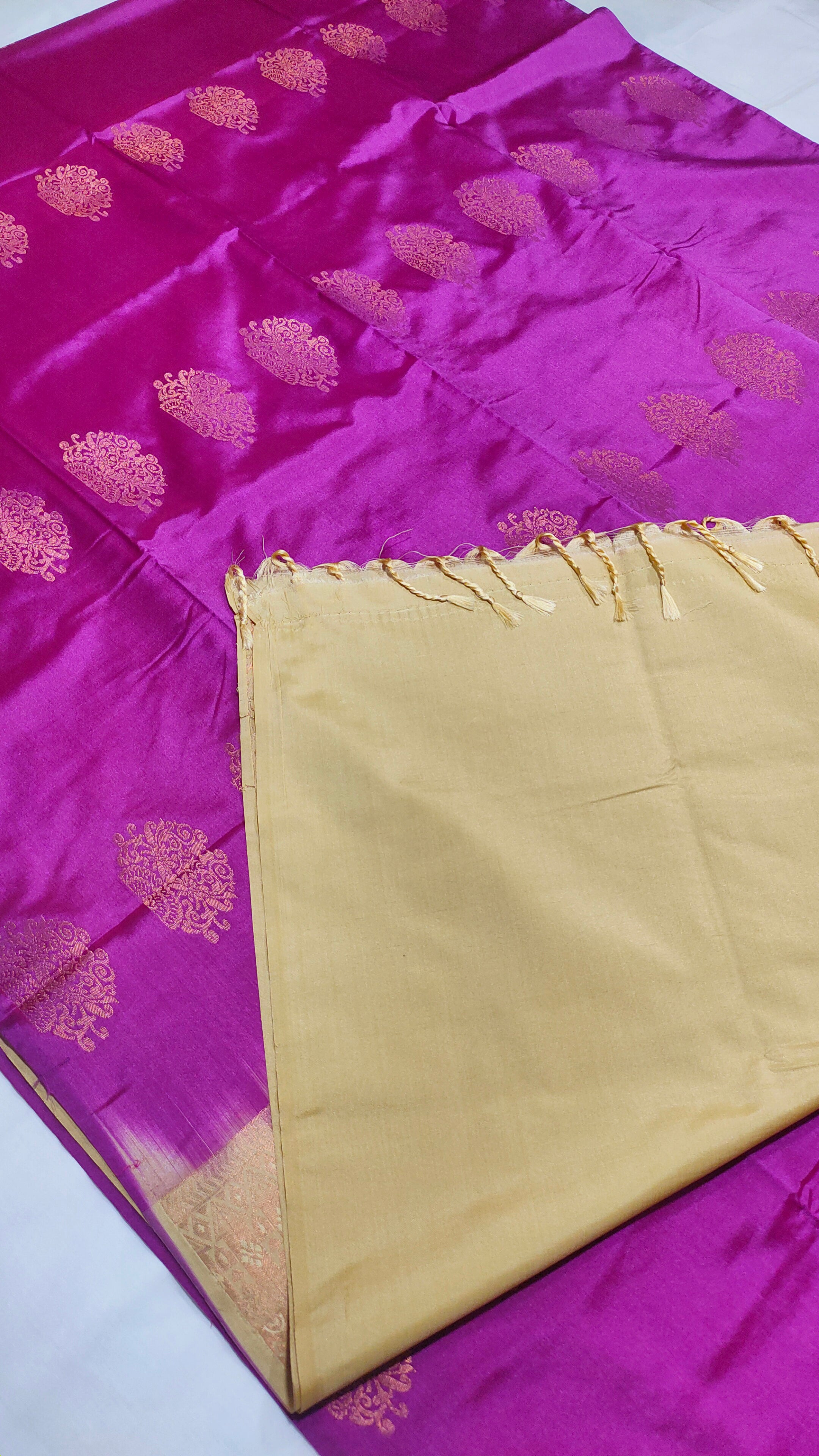 Kanchi Vegan Soft silk Saree with contrast Blouse and rich Jari Pallu